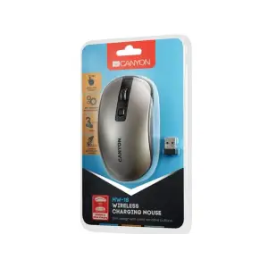 Мышь беспроводная Canyon Dark Grey (CNS-CMSW18DG) USB UA