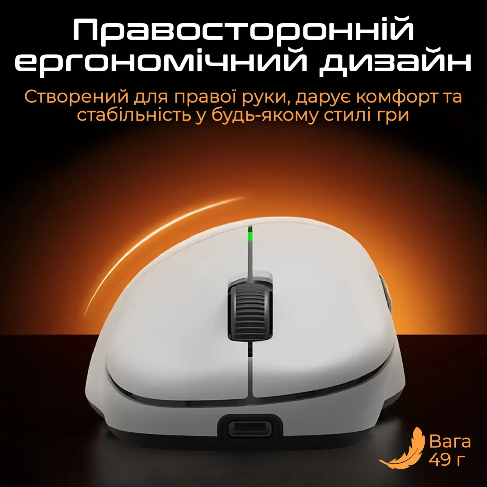 Миша бездротова RAWM ER21Pro Black UA