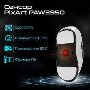 Миша бездротова RAWM ES21Pro Black UA