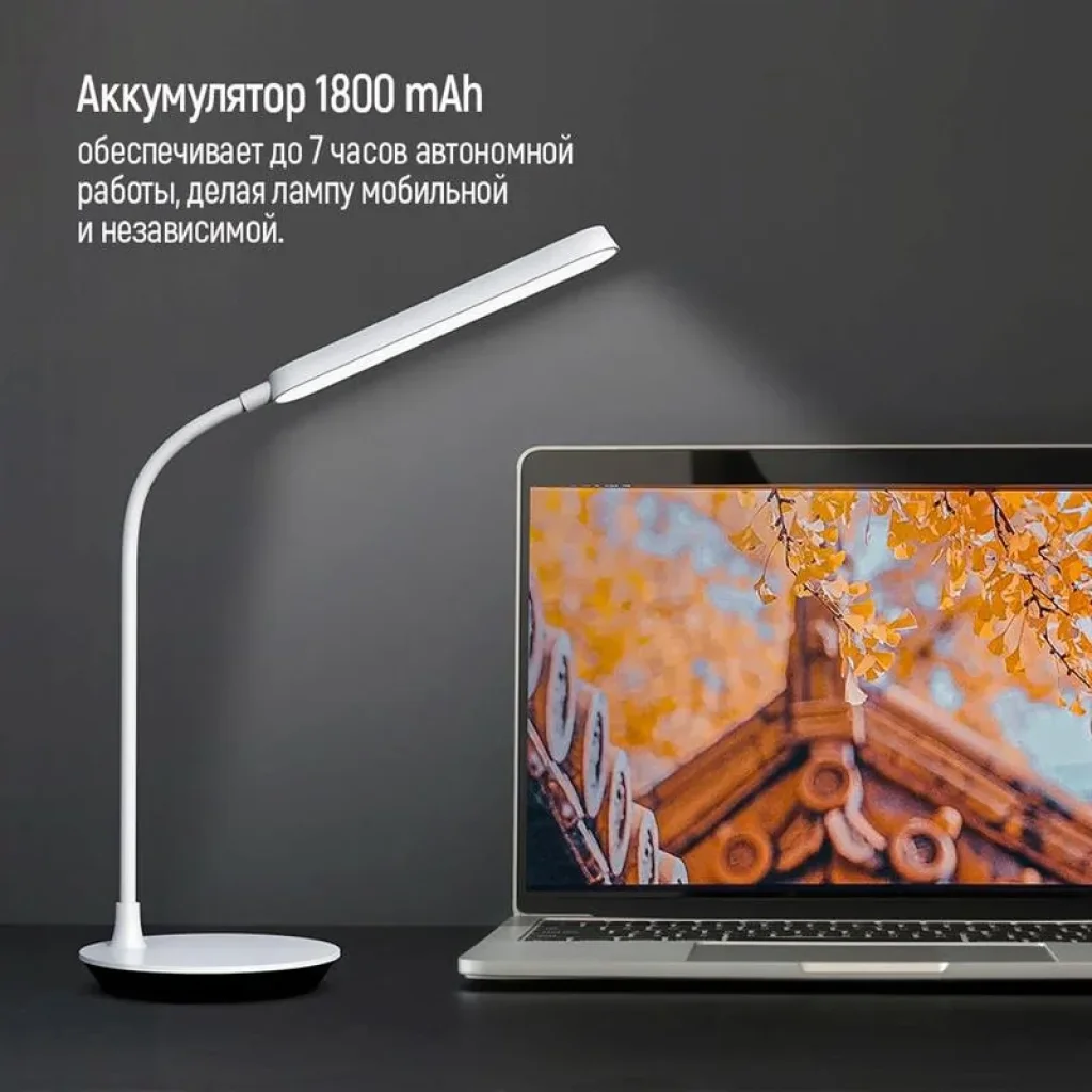 Настольна лампа LED ColorWay Portable & Flexible 360 із вбудованим акумулятором біла (CW-DL12FB-W) UA