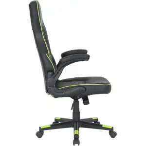 Крісло для геймерів 2E Gaming Hebi Black/Green (2E-GC-HEB-BK) UA