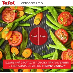 Сковорода Tefal Trattoria Pro 24 см (G6120444) UA