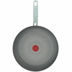 Сковорода Tefal Halo Eucalyptus 30 см (G0160702) UA