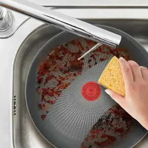 Сковорода Tefal Halo Eucalyptus 30 см (G0160702) UA