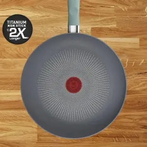 Сковорода Tefal Halo Eucalyptus 30 см (G0160702) UA
