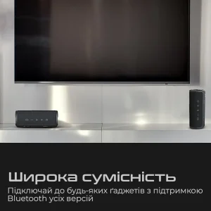 Акустическая система HiFuture Ripple 30W Red (ripple.red.) UA