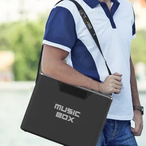Акустична система HiFuture MusicBox 100W Black UA