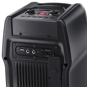 Акустическая система Sharp PS-931 Black UA