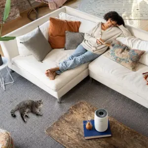 Очищувач повітря Levoit Air Purifier Core Mini (HEAPAPLVNEU0114Y) UA