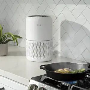 Очищувач повітря Levoit Air Purifier Core 300 White (HEAPAPLVNEU0036) UA