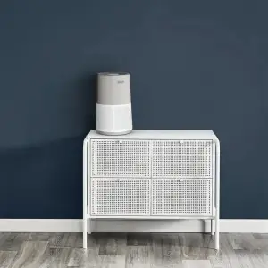 Очищувач повітря Rowenta Pure Air City Connected PU2840F0 UA