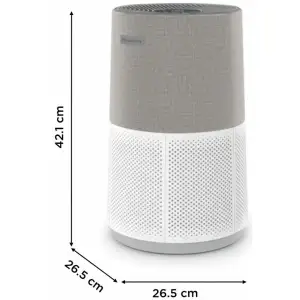 Очищувач повітря Rowenta Pure Air City Connected PU2840F0 UA