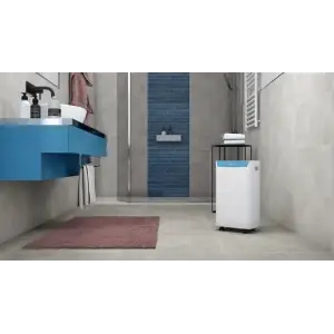 Осушувач повітря Olimpia Splendid Aquaria S1 14 P (OS-2062) UA