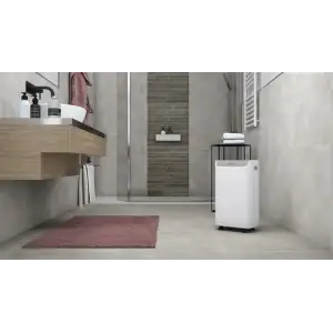 Осушувач повітря Olimpia Splendid Aquaria S1 16 P (OS-2063) UA