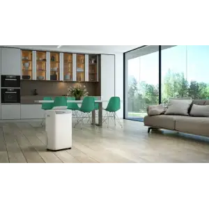 Осушувач повітря Olimpia Splendid Aquaria S1 20 P (OS-2064) UA