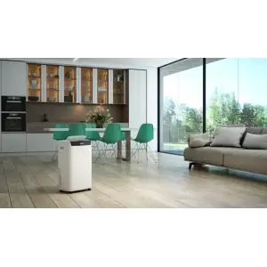 Осушувач повітря Olimpia Splendid Aquaria S1 24 P (OS-2065) UA