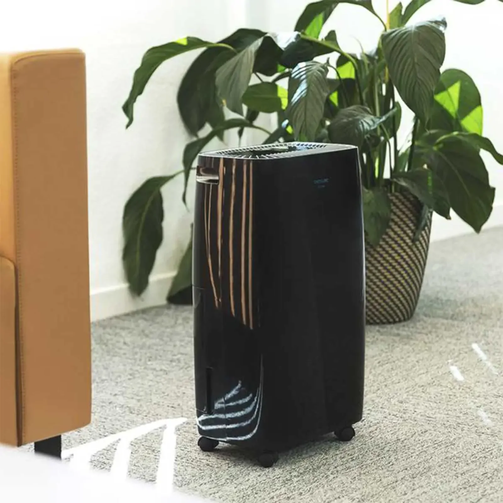 Осушувач повітря Cecotec Dehumidifier BigDry4000 Expert Black (CCTC-05607) UA