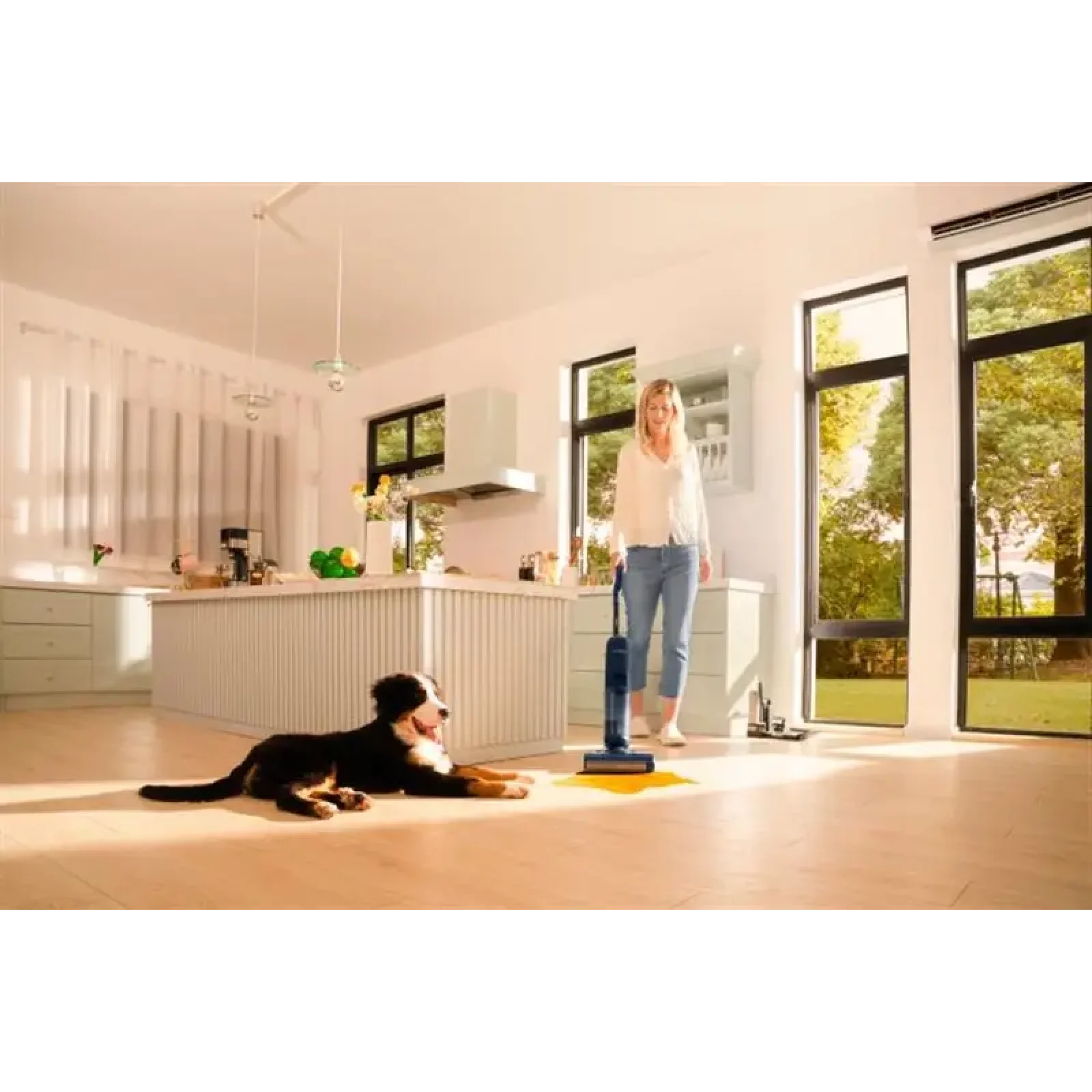 Акумуляторний миючий пилосос Tineco Floor One S5 Extreme (FW101600DE) UA