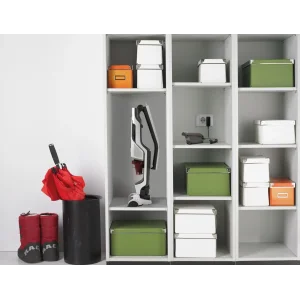 Аккумуляторный пылесос Gorenje SVC216GFW UA