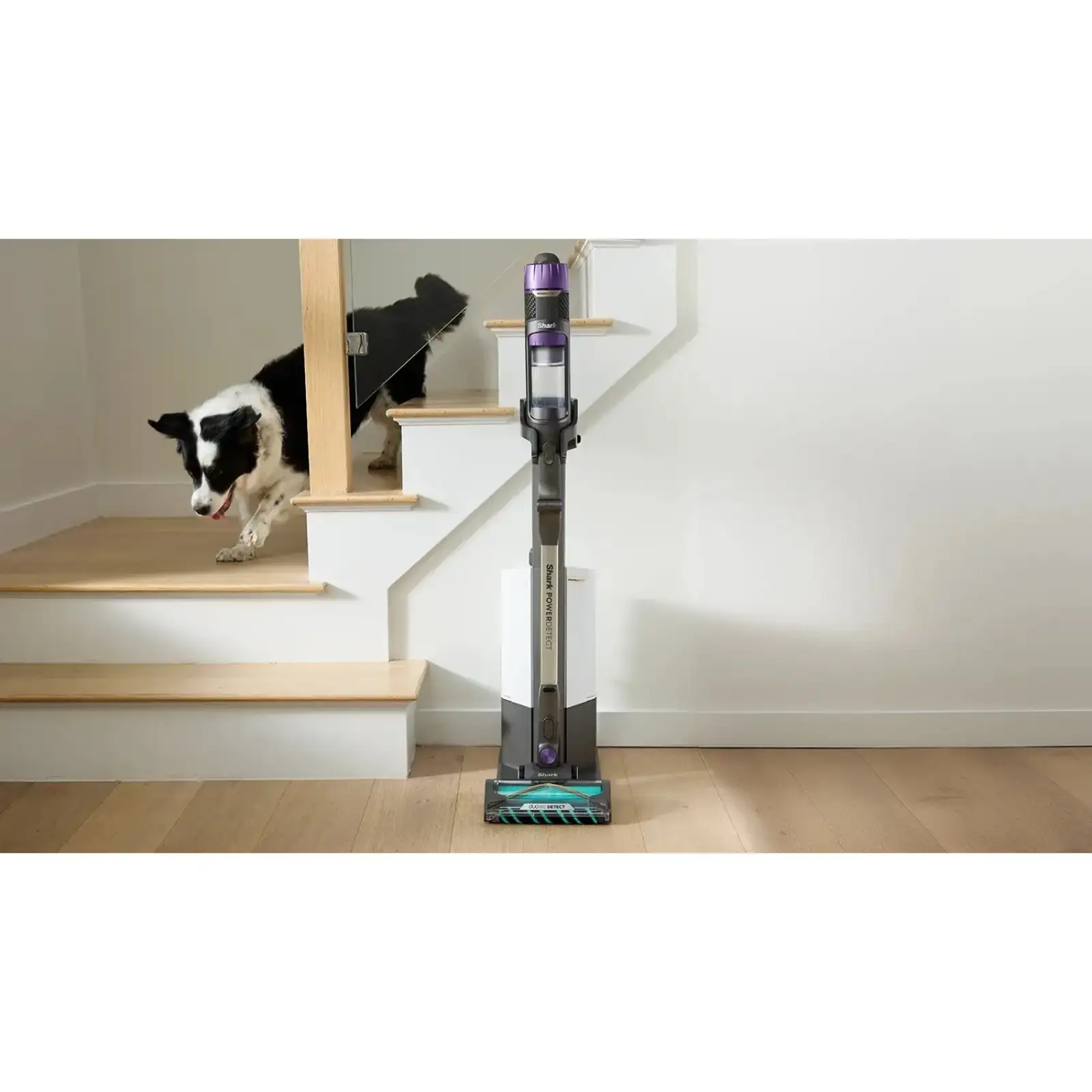Акумуляторний пилосос Shark Detect Pro Max with Auto Empty System IP3251EUT UA