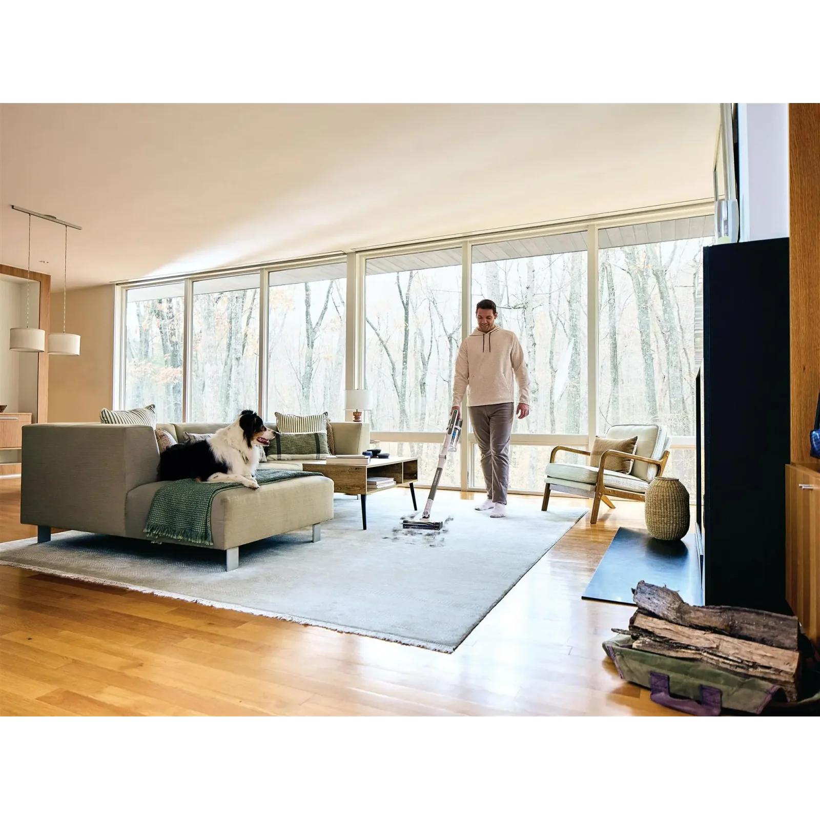 Аккумуляторный пылесос Shark PowerPro IZ380EUT UA