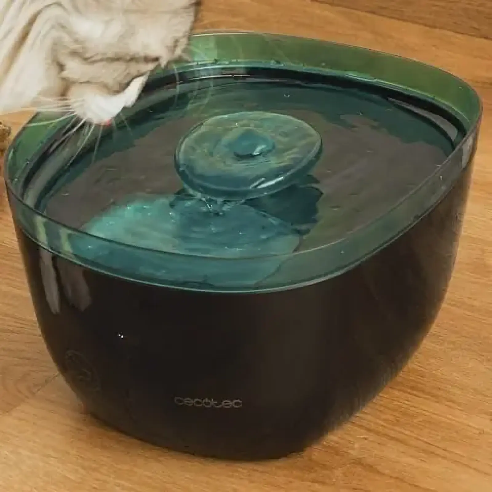 Смарт-поилка Cecotec Bebedero Pumba 2200 Refresh (CCTC-09561) UA