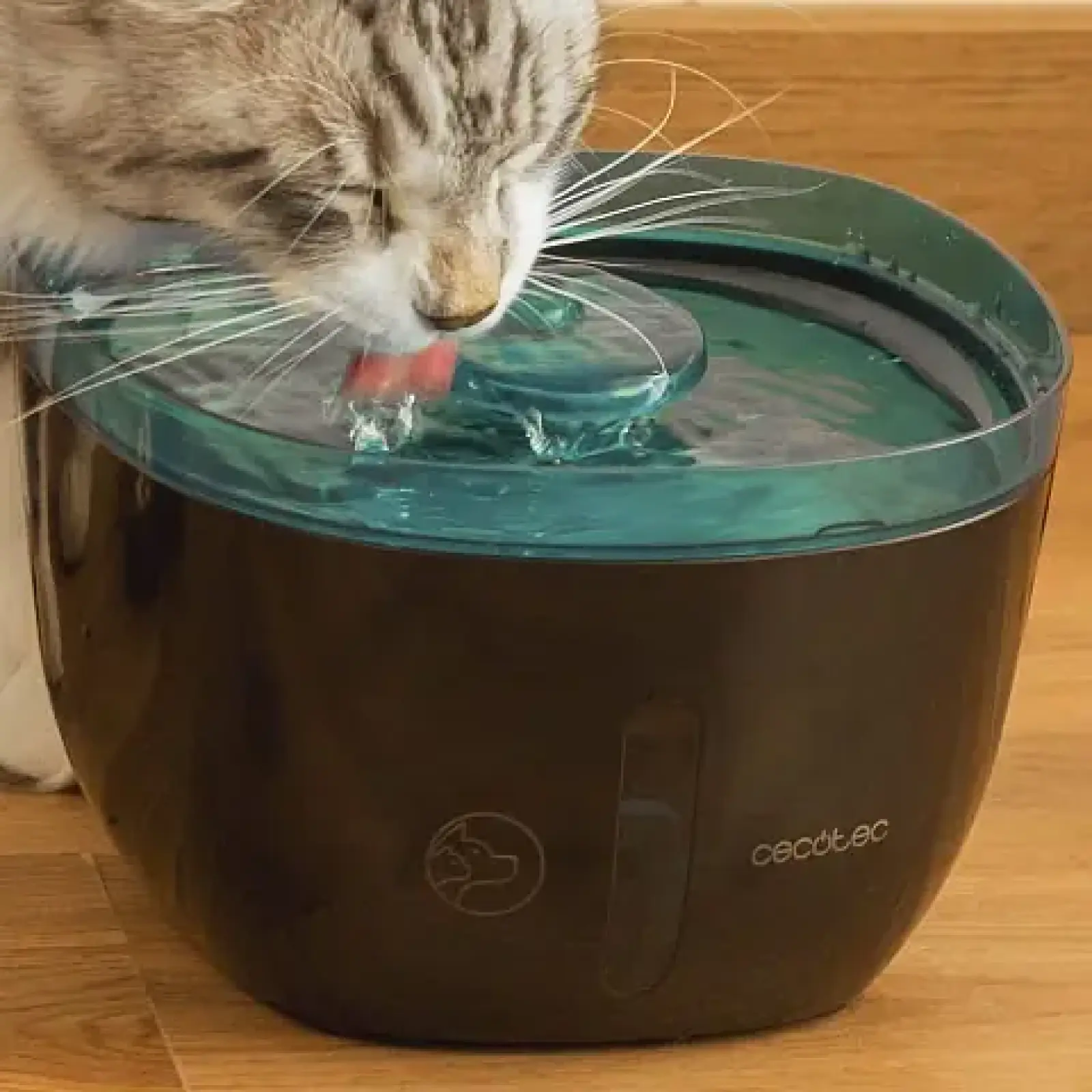 Смарт-поилка Cecotec Bebedero Pumba 2200 Refresh (CCTC-09561) UA