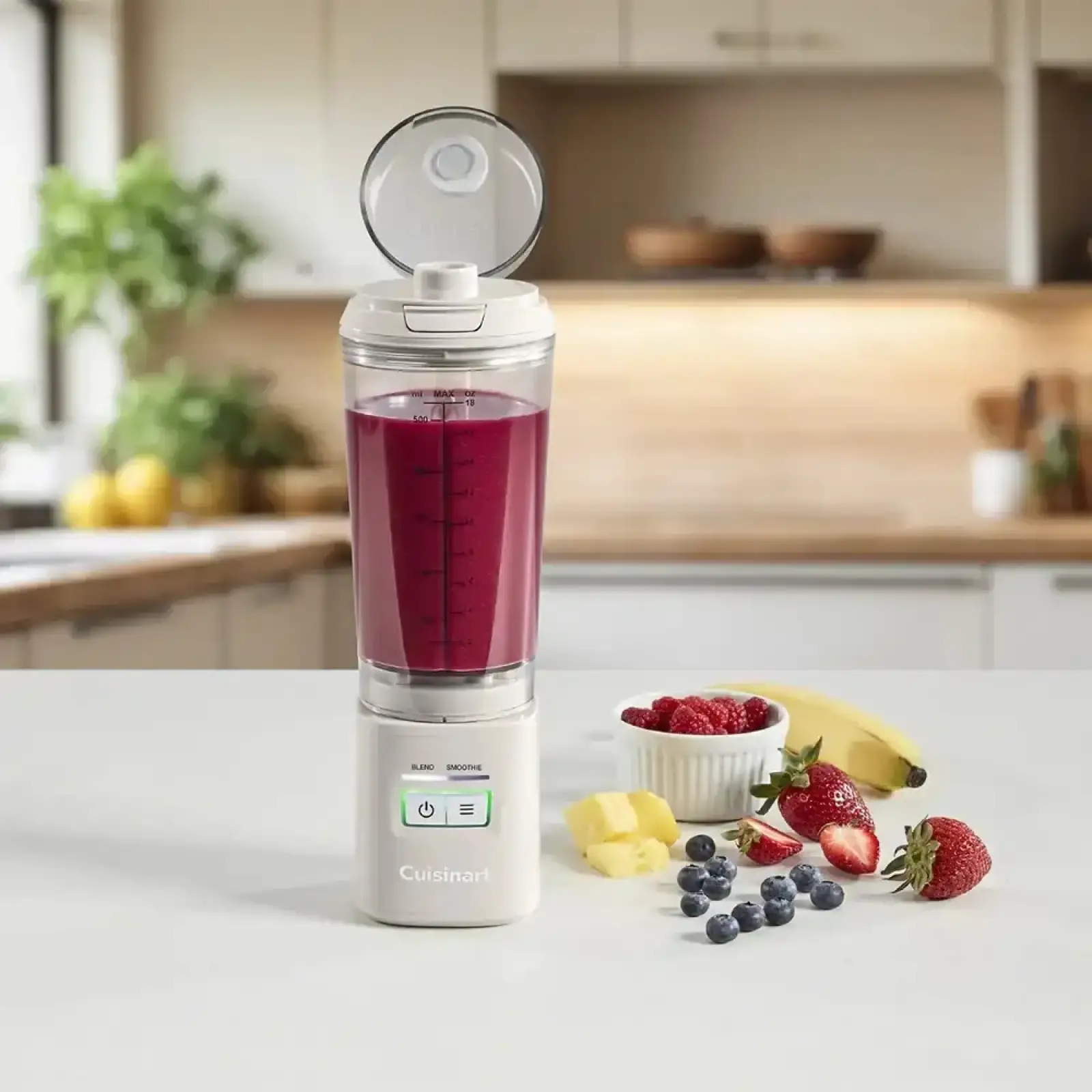 Блендер Cuisinart Blast & Go PBL100E UA