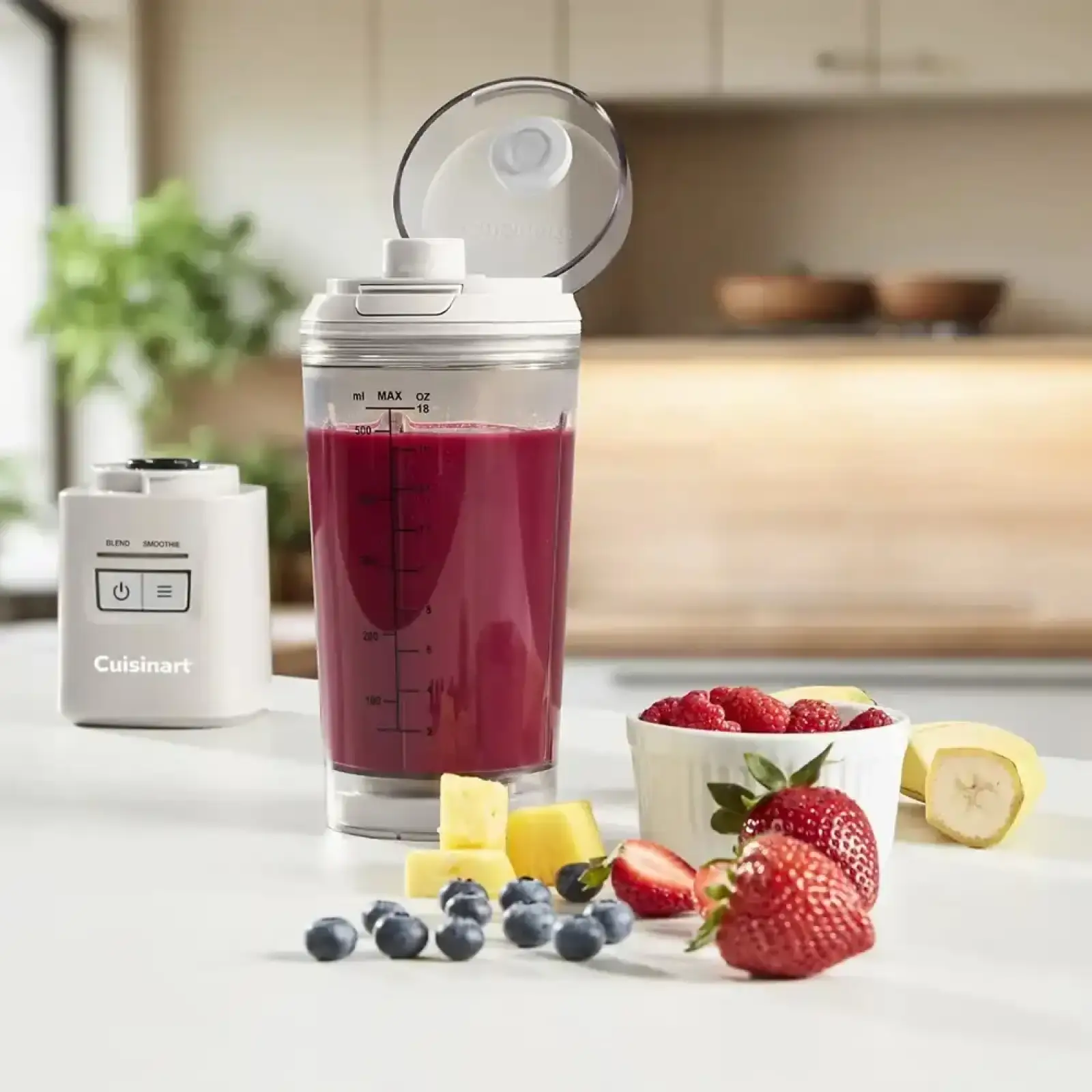 Блендер Cuisinart Blast & Go PBL100E UA