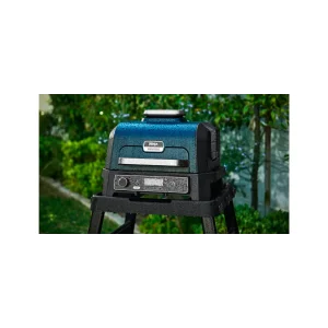 Гриль-барбекю Ninja Woodfire Pro XL OG850EU UA