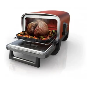 Гриль-барбекю Ninja Woodfire OO101EU UA