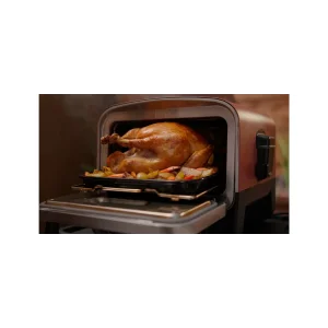 Гриль-барбекю Ninja Woodfire OO101EU UA