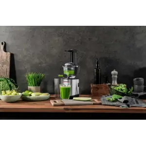 Соковыжималка Gastroback Slow Juicer Advanced Vital (40145) UA