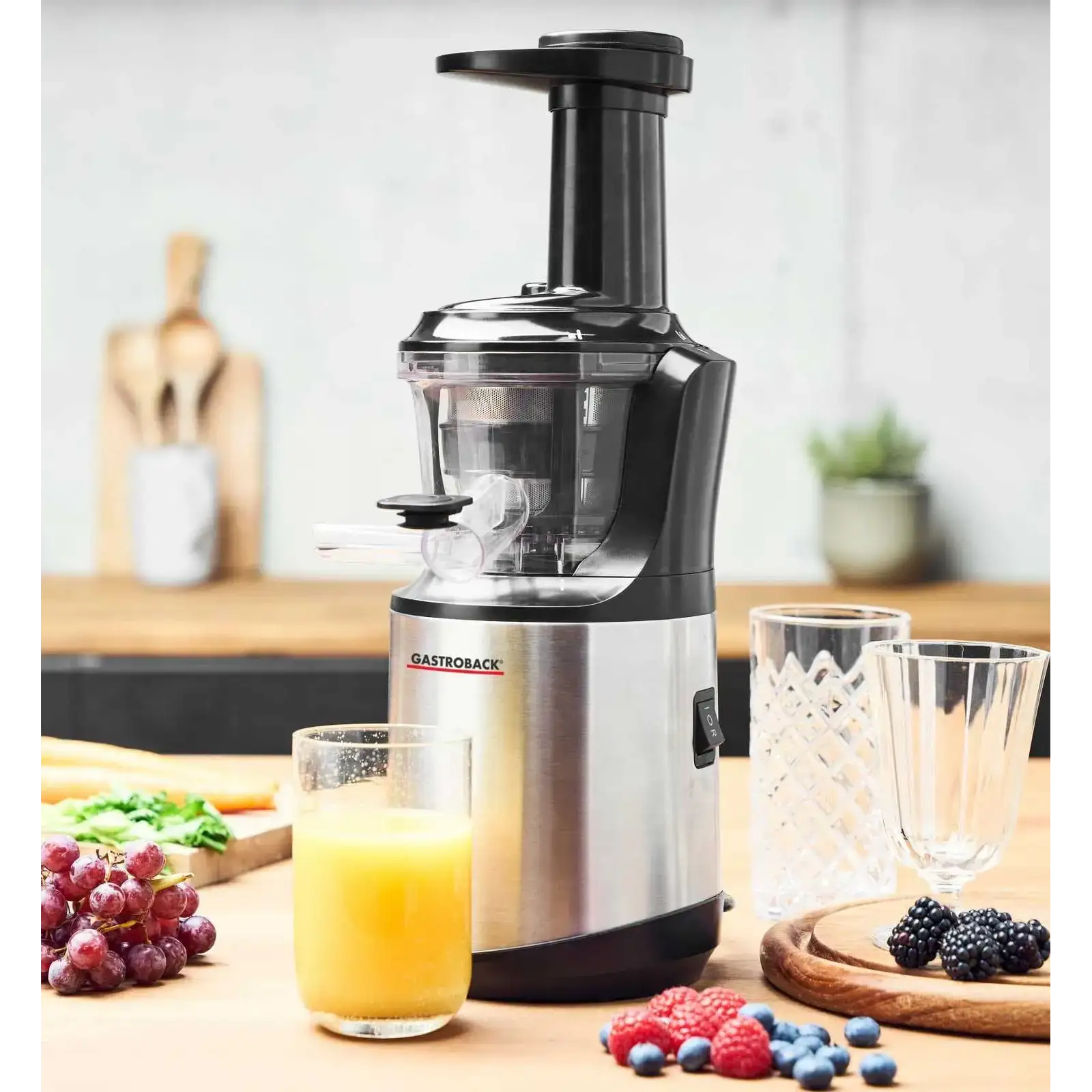 Соковыжималка Gastroback Slow Juicer Advanced Vital (40145) UA