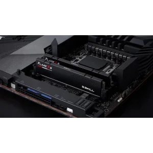 Оперативна пам'ять DDR5 2x16GB/5600 G.Skill Flare X5 (F5-5600J3636C16GX2-FX5) UA