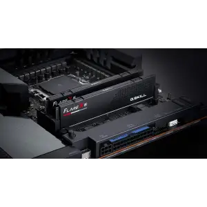 Оперативная память DDR5 2x24GB/5200 G.Skill Flare X5 (F5-5200J4040A24GX2-FX5) UA