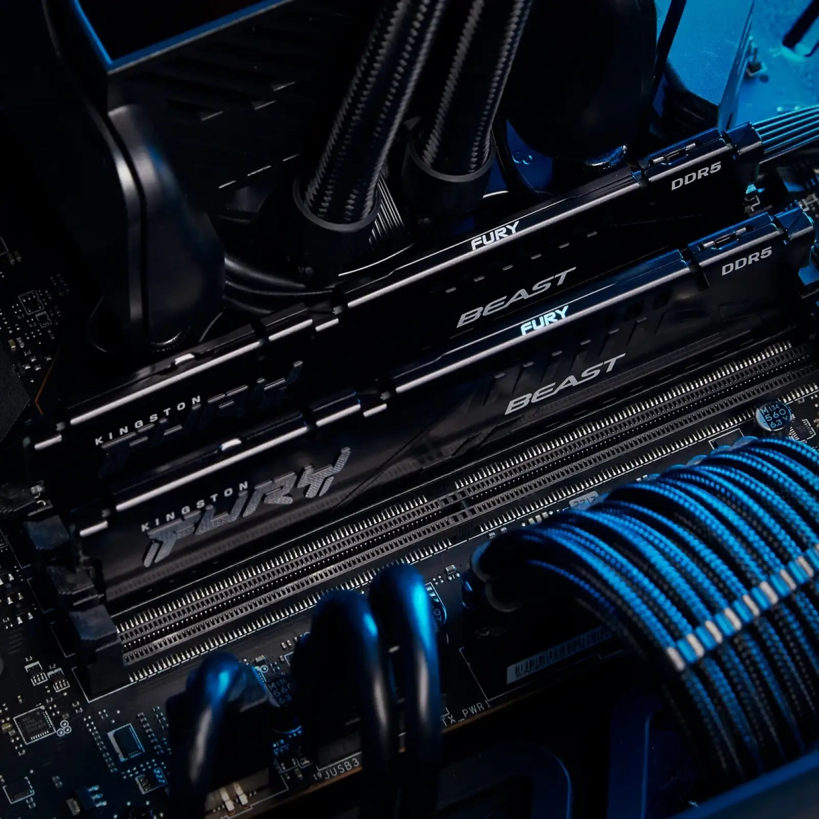 Оперативна пам'ять DDR5 2x16GB/6000 Kingston Fury Beast Black (KF560C36BBEK2-32) UA