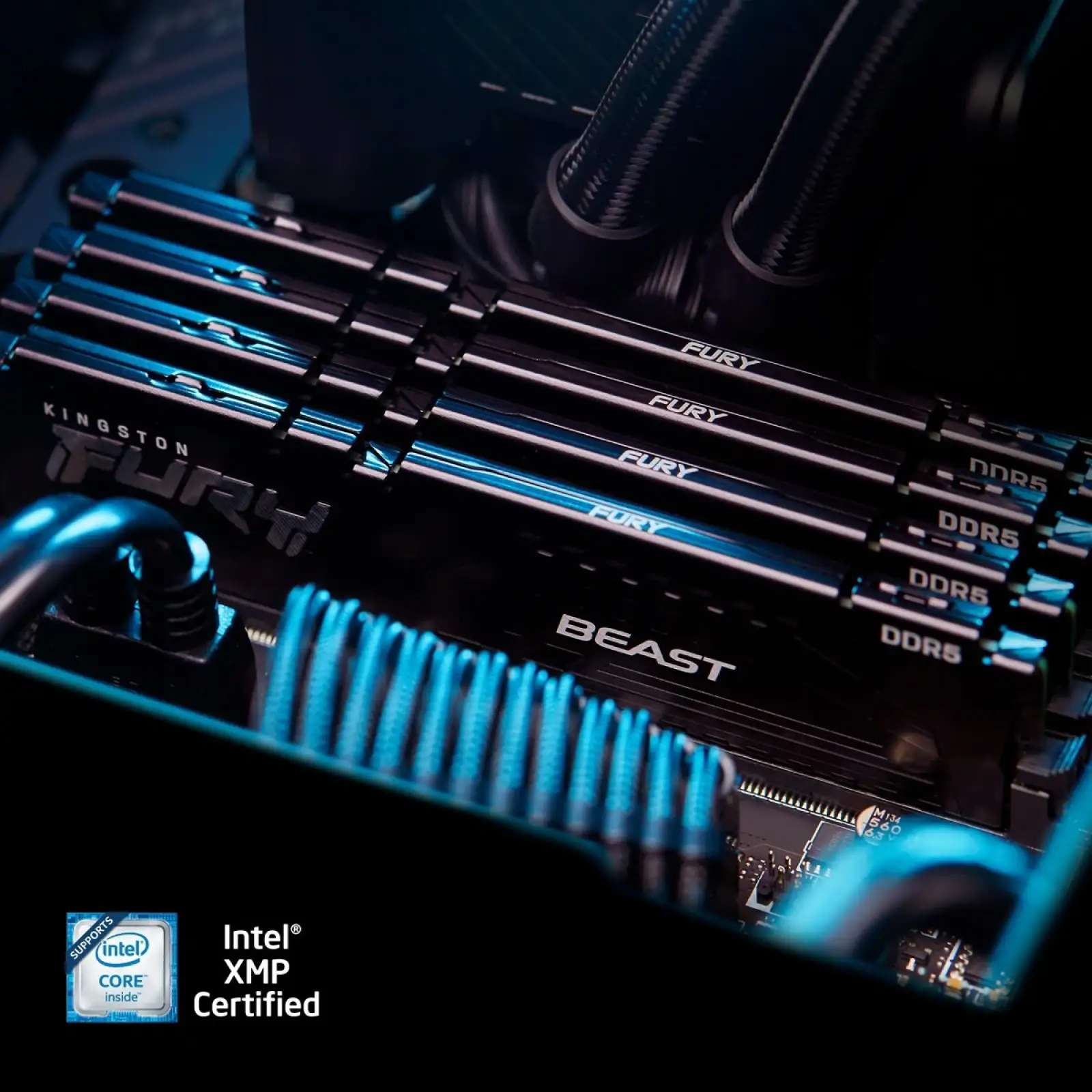 Оперативна пам'ять DDR5 2x16GB/6000 Kingston Fury Beast Black (KF560C36BBEK2-32) UA