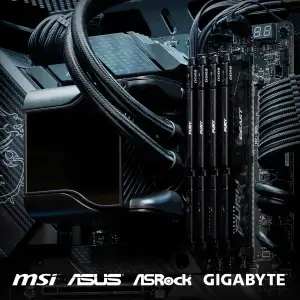 Оперативна пам'ять DDR5 2x16GB/6000 Kingston Fury Beast Black (KF560C36BBEK2-32) UA
