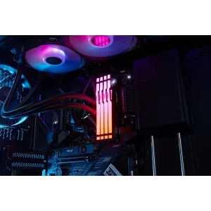 Модуль памяти DDR5 16GB/6400 Kingston Fury Beast RGB Black (KF564C32BBA-16) UA