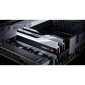 Оперативная память DDR5 2x16GB/6000 G.Skill Trident Z5 Silver (F5-6000J3040F16GX2-TZ5S) UA