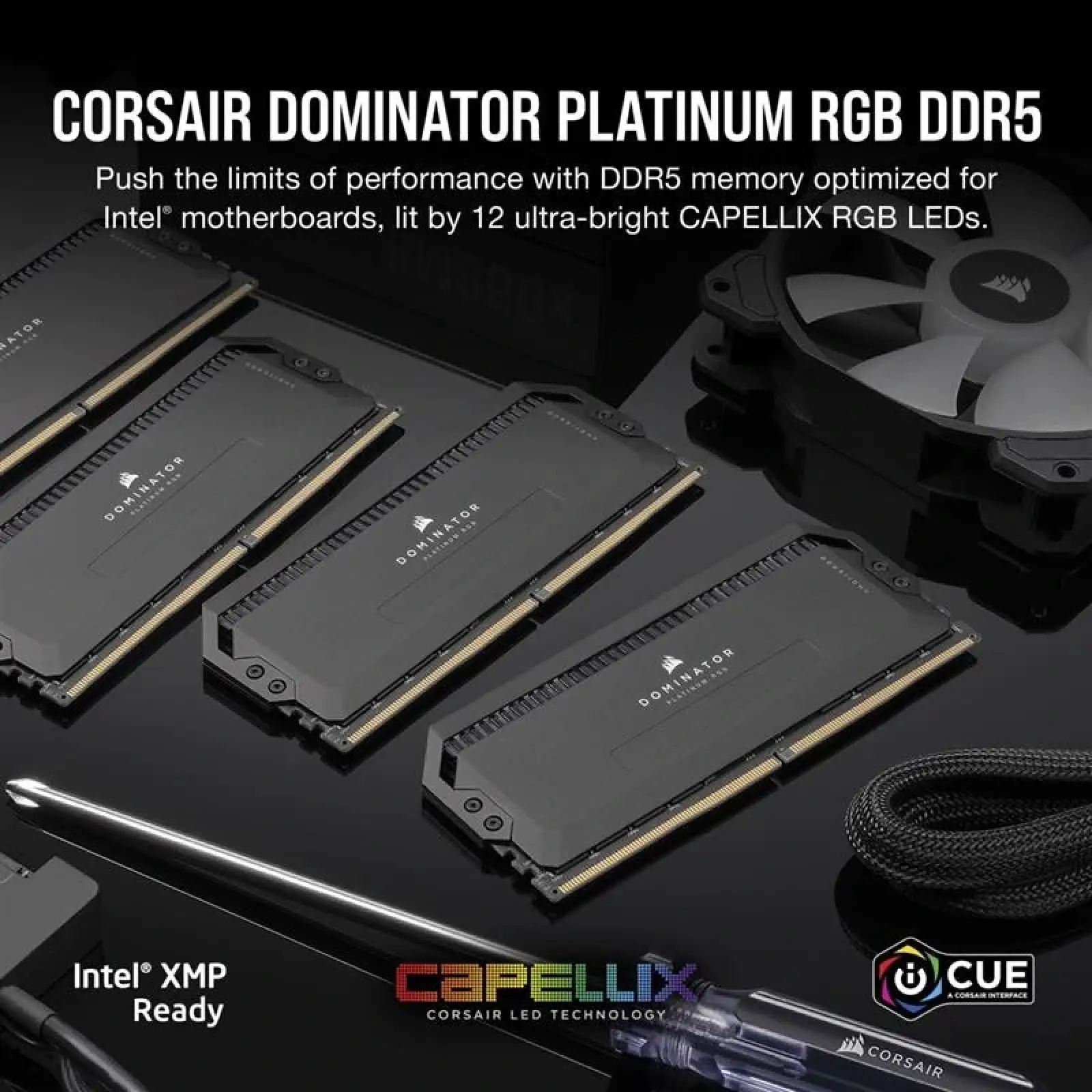 Оперативна пам'ять DDR5 2x32GB/6000 Corsair Dominator Platinum RGB Black (CMT64GX5M2B6000C30) UA