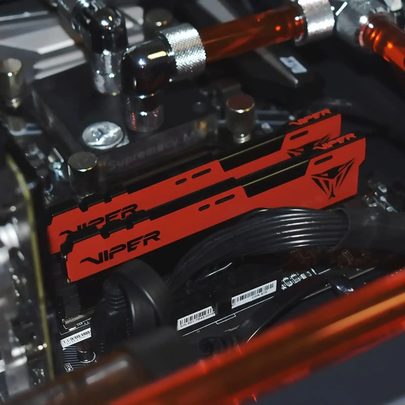 Оперативна пам'ять DDR4 16GB/3600 Patriot Viper Elite II Red (PVE2416G360C0) UA