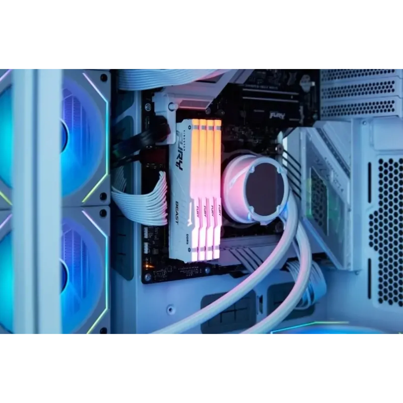 Оперативная память DDR5 32GB/5600 Kingston Fury Beast RGB EXPO (KF556C36BWEA-32) UA