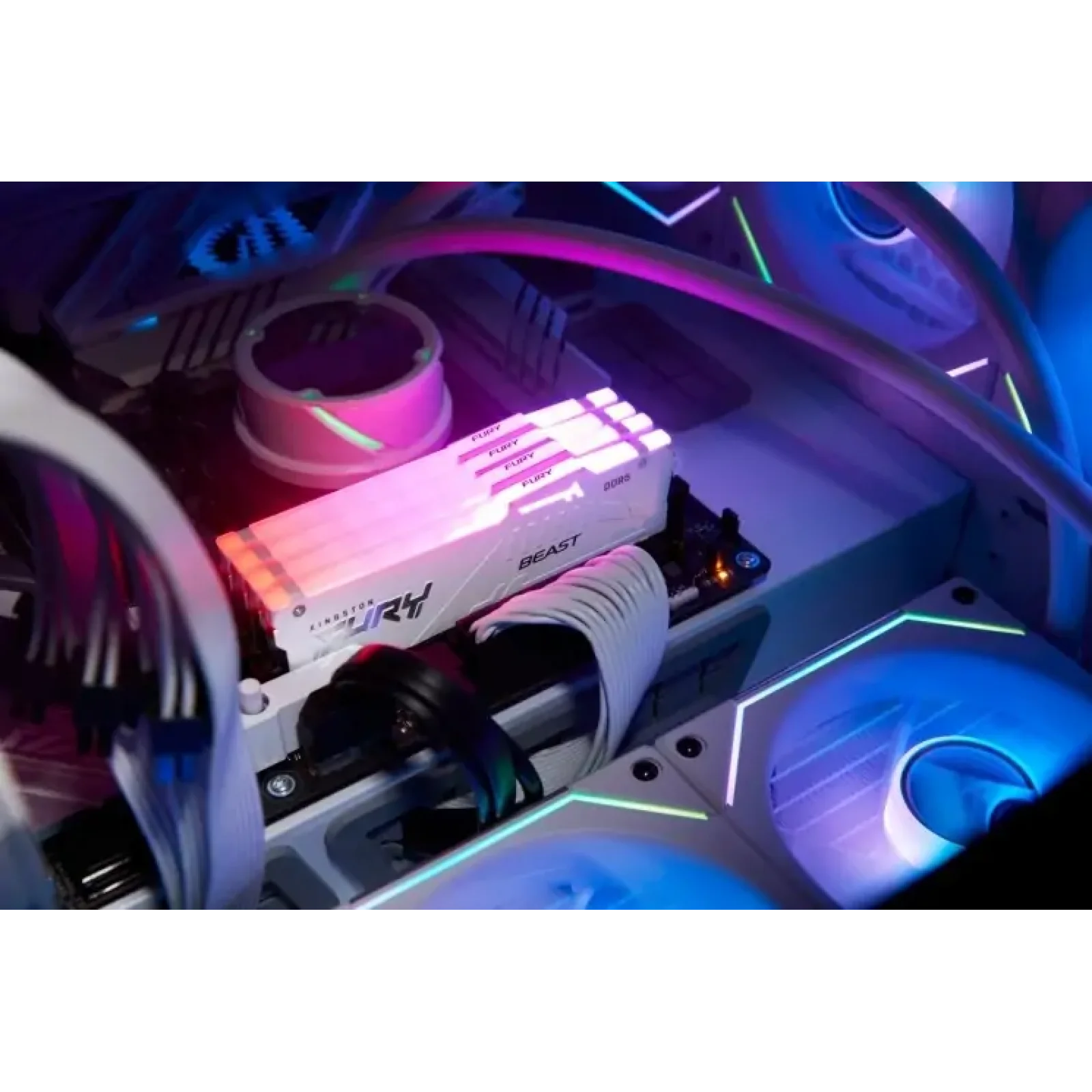Оперативная память DDR5 32GB/5600 Kingston Fury Beast RGB EXPO (KF556C36BWEA-32) UA