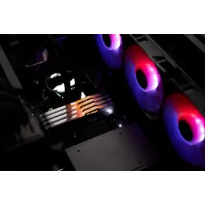 Оперативна пам'ять DDR5 32GB/5600 Kingston Fury Beast RGB Black (KF556C36BBE2A-32) UA