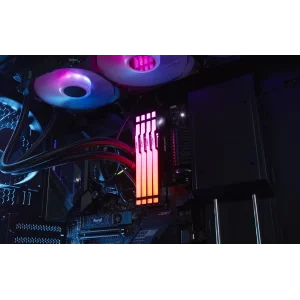 Оперативная память DDR5 32GB/5600 Kingston Fury Beast RGB Black (KF556C36BBE2A-32) UA