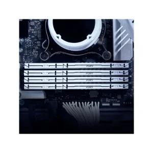 Модуль пам'яті DDR5 32GB/6000 Kingston Fury Beast White (KF560C36BWE-32) UA