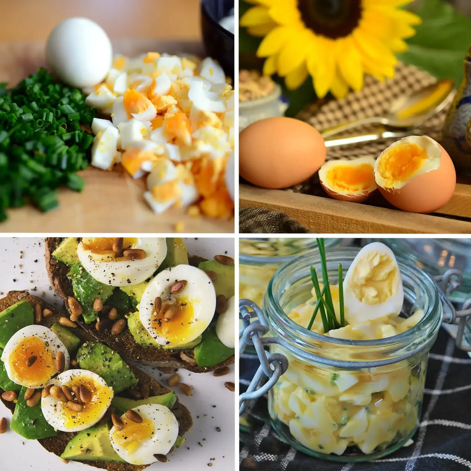 Яйцеварка First FA-5115-2 UA