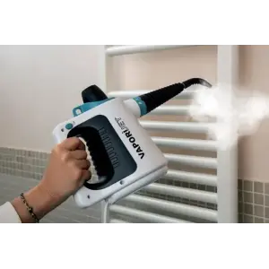 Пароочиститель Ariete 4137 GR UA